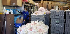 Woman volunteering