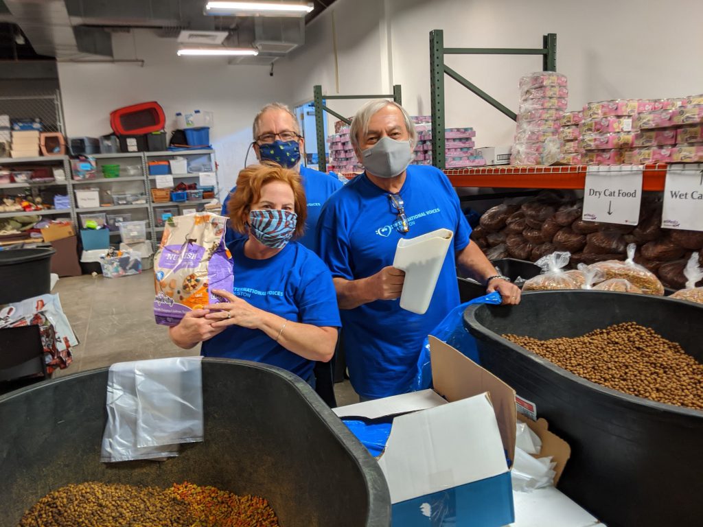 A group volunteering
