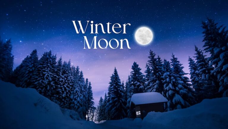 Winter Moon banner
